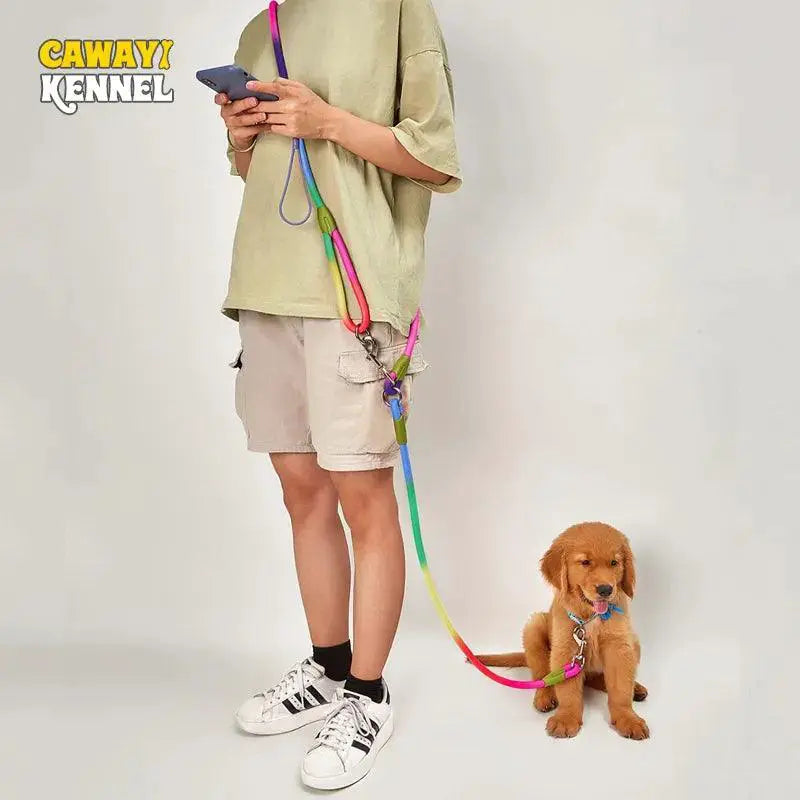 Ultimate Reflective Nylon Hands Free Dog Leash For Safety