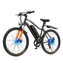 Adult Electric Mountain Bike Style