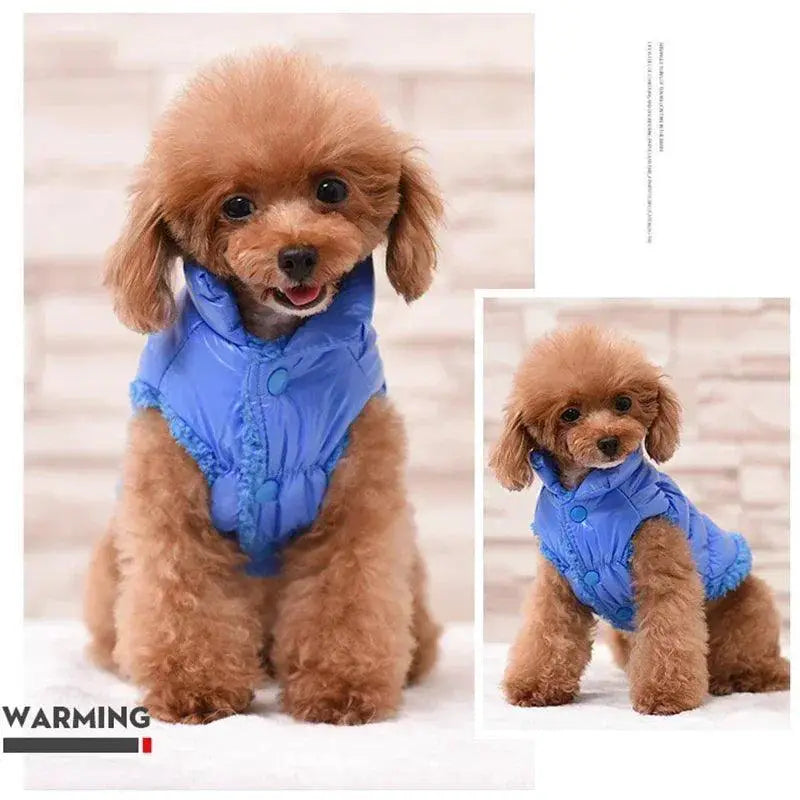 Winter Pet Down Jacket Cozy Coat For Small Dogs And Cats