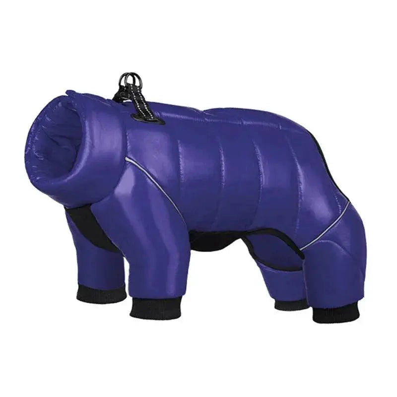 Warm Winter Coat for French Bulldog — product view 12