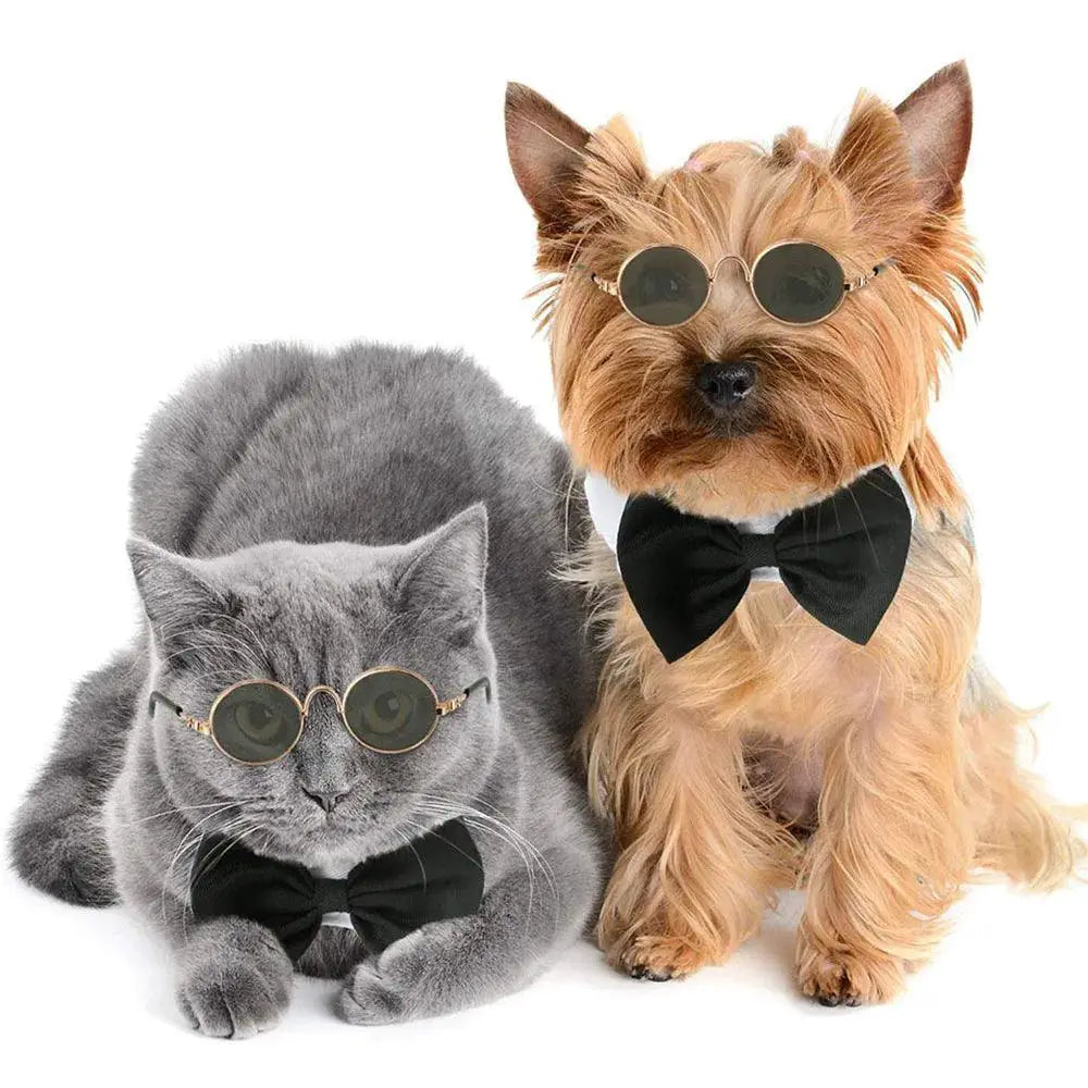 Stylish Pet Sunglasses for Cats and Dogs for Photo Fun