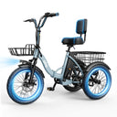 Qlife Triker - Fat Tire