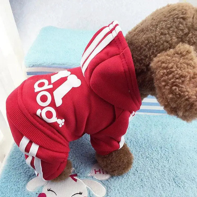 Cozy Cotton Dog Coat for Small Dogs — product view 8