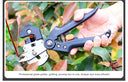 Garden Tools Professional Farming Pruning Shears Grafting Scissor