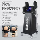 Emszero 6500W - RF Fat Burning Salon Massager