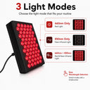 60 Led Dual Chip Red Light Panel