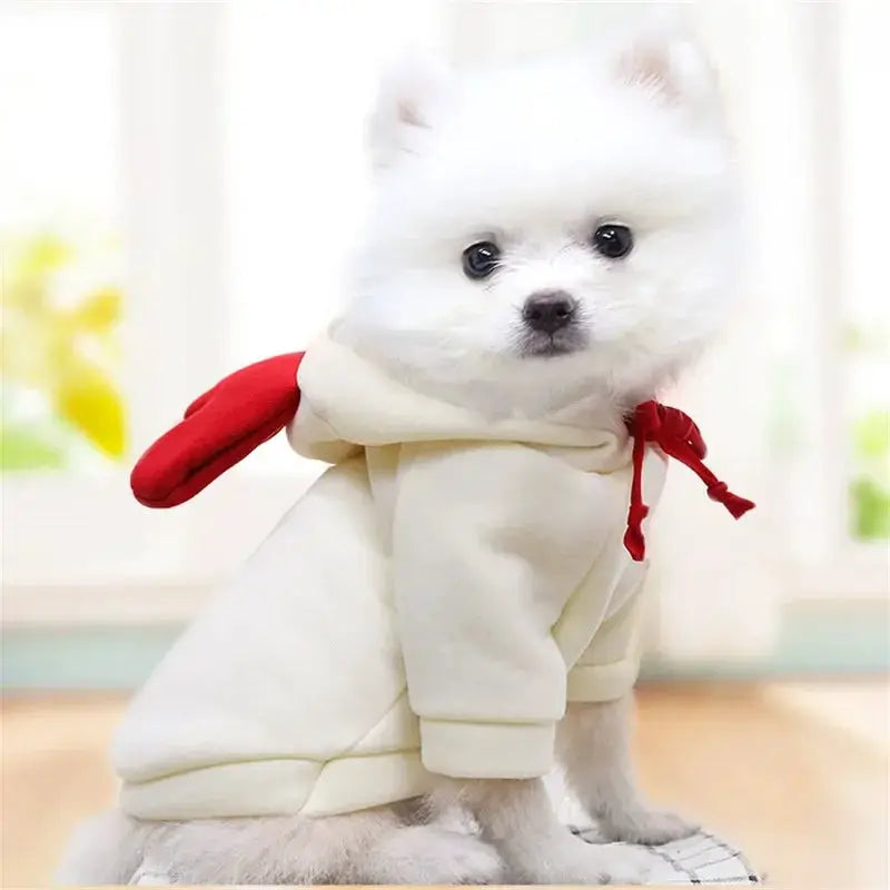 Cozy Warm Dog Hoodie for Small Dogs — product view 20