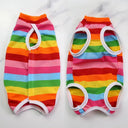 Cat Post-Surgery Recovery Jumpsuit: Anti-Lick Pet Care Clothes