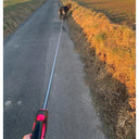 Adjustable Retractable Dog Leash Ultimate Freedom Durable Rope