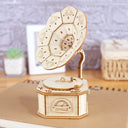 3D Wooden Gramophone Music Box Puzzles Kits DIY Gift Set