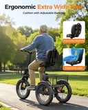 Sturdy 3 Wheel Electric Trike For Adults