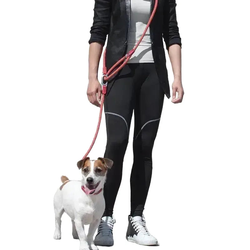 Hands-Free Dog Leash for Safe Walks — Black
