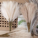 Elegant Boho Fluffy Pampas Grass for Weddings and Home Decor