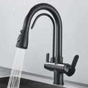 Filtered Water Kitchen Faucet For Homes