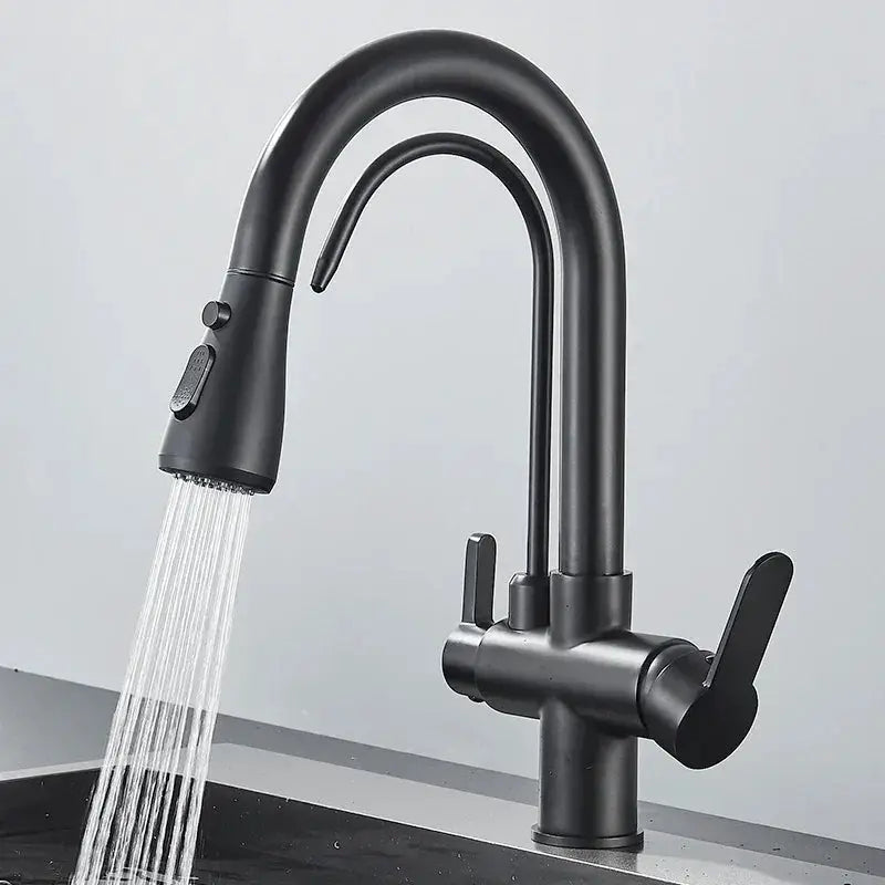 Quyanre Matte Black Filtered Crane Kitchen Faucet Series