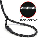 Reflective Nylon Dog Leash: Safety and Style for Walks