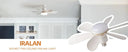 Efficient Ceiling Fan Light for Offices