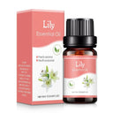 Aroma Diffuser Essential Oils: Elevate Your Space with 18 Scents