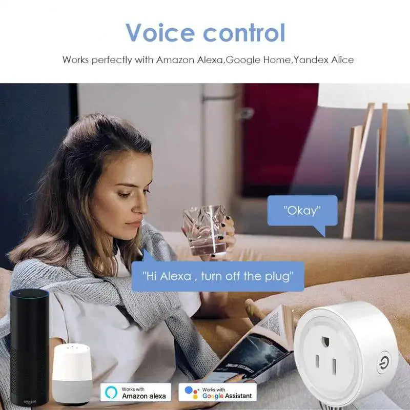 Smart WiFi Plug With Remote For Alexa And Google Home