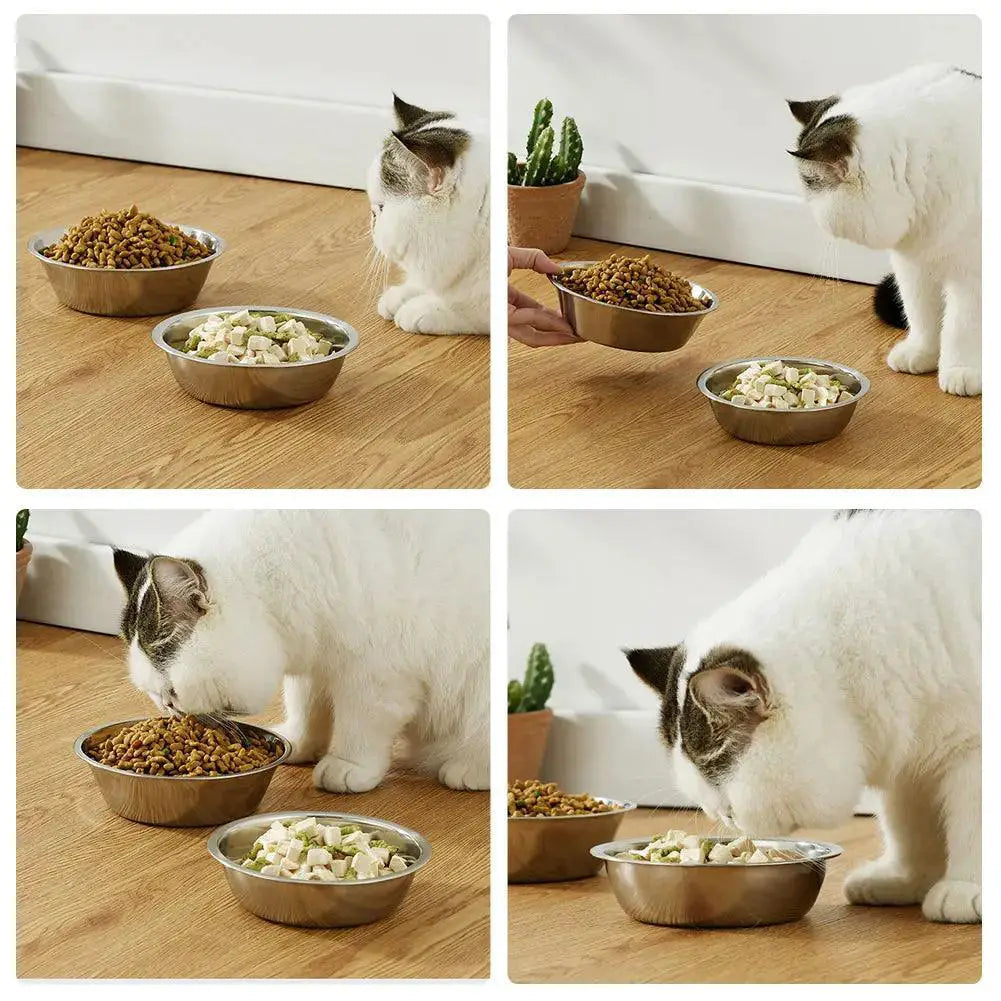 Stainless Steel Large Pet Feeder Bowl Durable and Safe