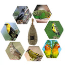 Eco Friendly Bird House For Finches