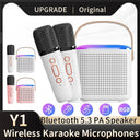 Y1 Wireless Dual Microphones Karaoke Machine KTV DSP