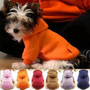 Cozy Pet Hoodie for Winter Comfort and Warmth