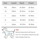 Escape-Proof Pet Harness for Safe Walks