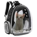Secure Travel: Clear Bubble Pet Backpack