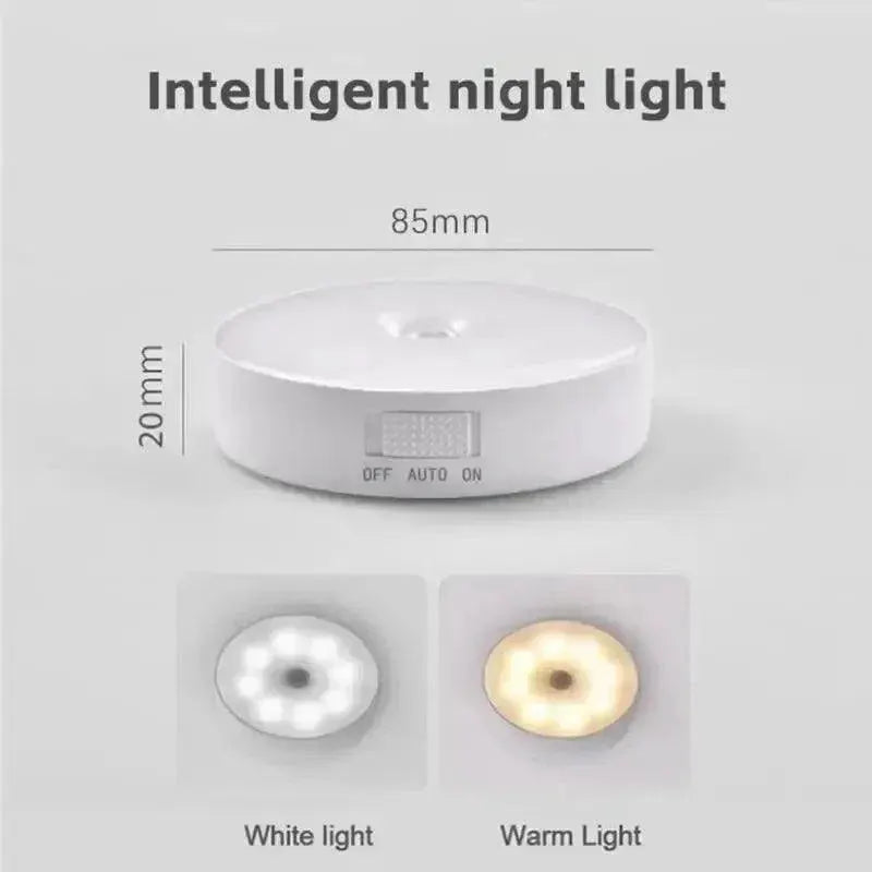 Intelligent Induction LED Night Lamp Motion Sensor Light