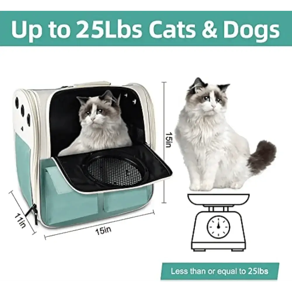 Top Tasta Airline Approved Cat Backpack Carrier Travel