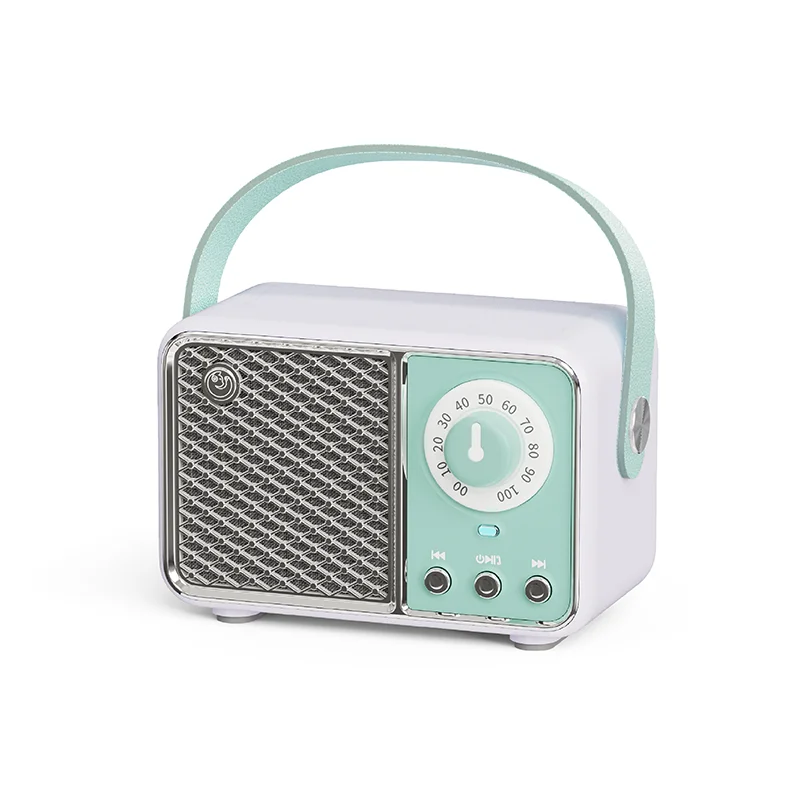 Bluetooth FM Radio Audio Speaker