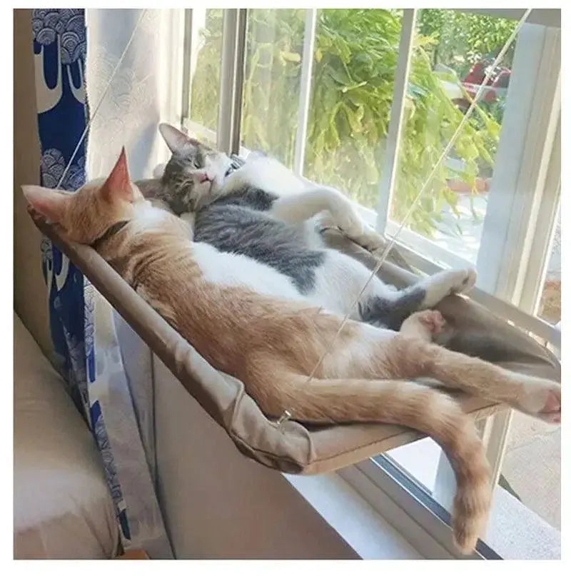 Cat Hammock Bed Sunny Window Seat Kitten Climbing Frame