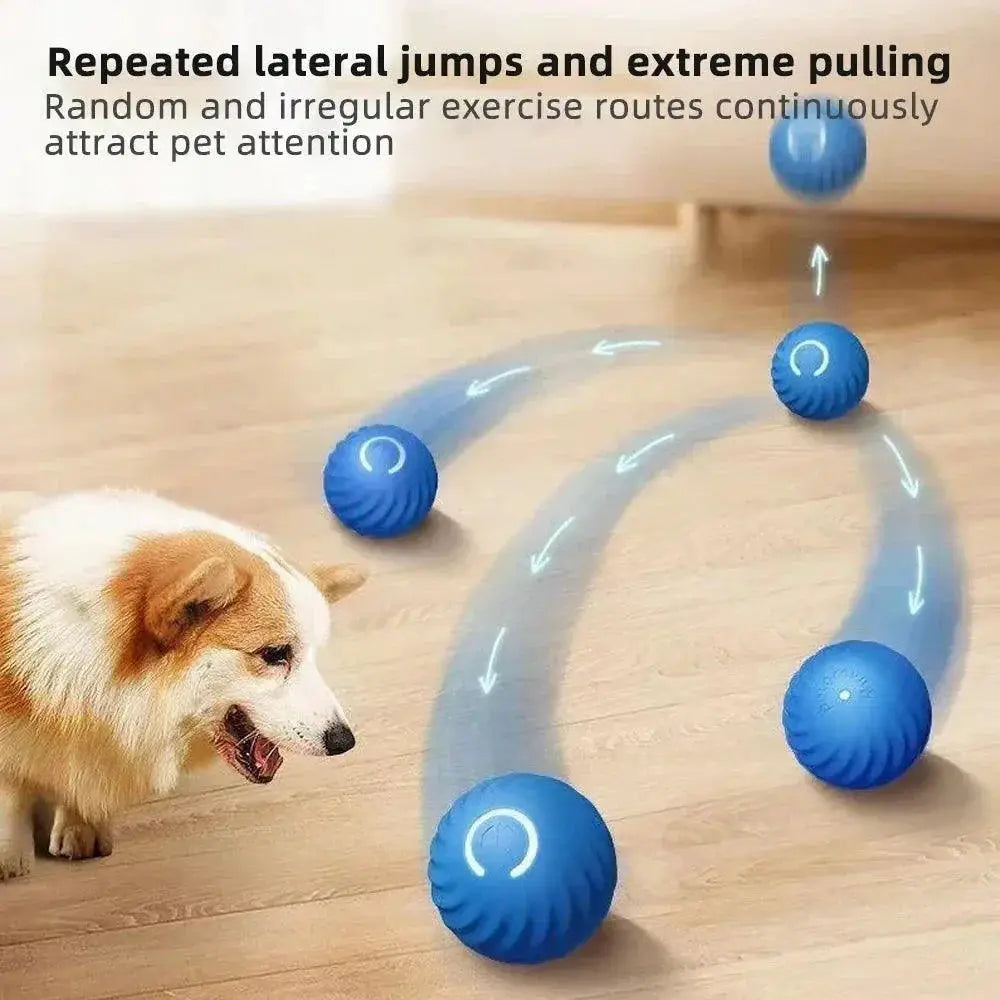 Interactive Smart Dog Toy Ball USB Bouncing Fun for Pets
