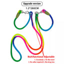 Ultimate Reflective Nylon Hands-Free Dog Leash for Dogs
