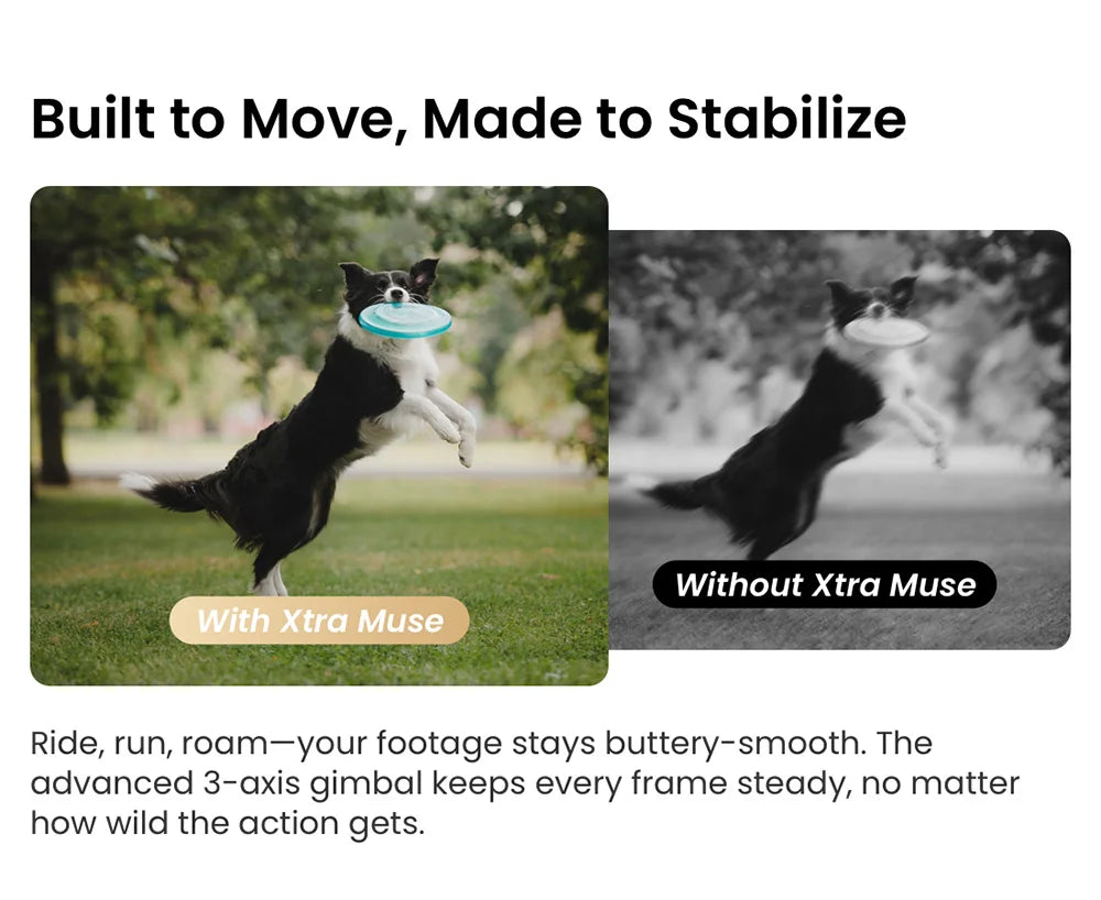 Xtra Muse 314 x 556