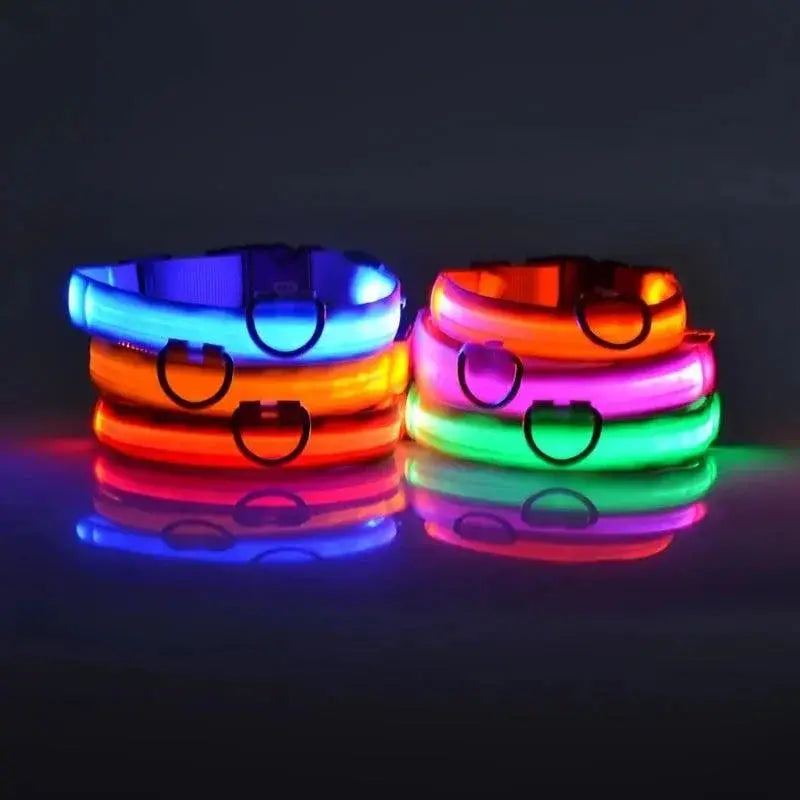 LED Night Safety Dog Leash And Collar Set For Visibility