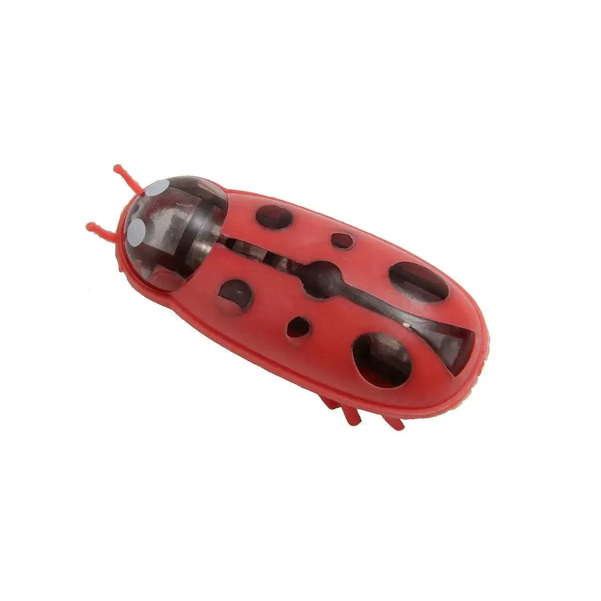 Interactive Ladybird Beetle Cat Toy for Engaging Fun