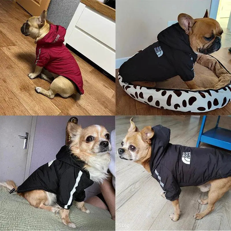 Winter Reflective Pet Hoodie for Dogs Waterproof Jacket