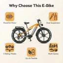 Premium 2000W Off Road Electric Bike