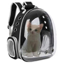 Transparent Bubble Pet Backpack: Stylish And Secure Companion