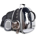 Bubble Space Capsule Astronaut Pet Carrier Backpack Eco-Friendly