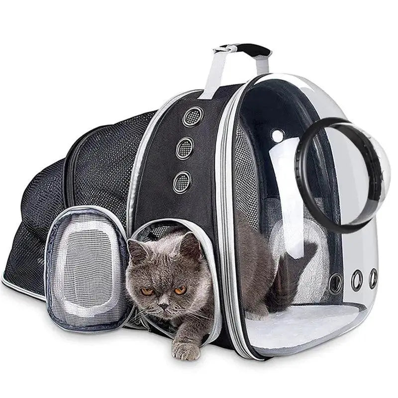 Breathable Bubble Space Carrier for Pets — Green With Cover