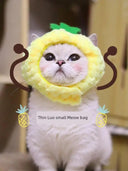 Cat Accessory Rabbit Headdress for Pics
