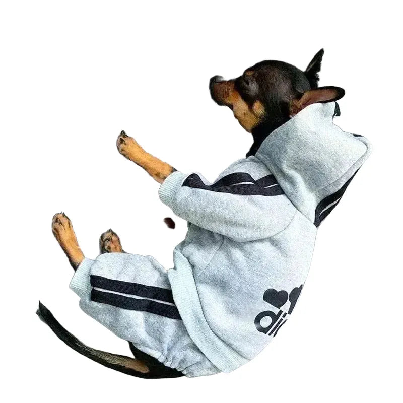 Comfort Jumpsuit for Small Dogs — Light Blue