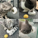 Dental Health Cat Toy Ball For Playtime