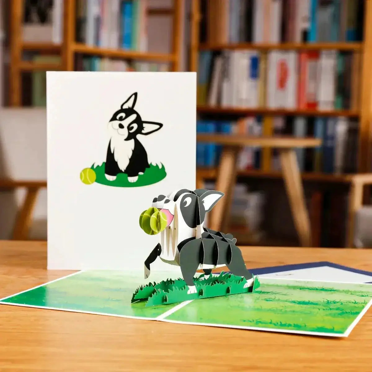 3D Animals Pop Up Cards Butterflies Unicorns Cats Gift Set