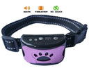 Dog Training Collar: Upgrade Your Dog's Behavior Today