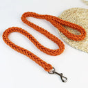 Nylon Dog Harness Leash: Premium Training Lead for Pets
