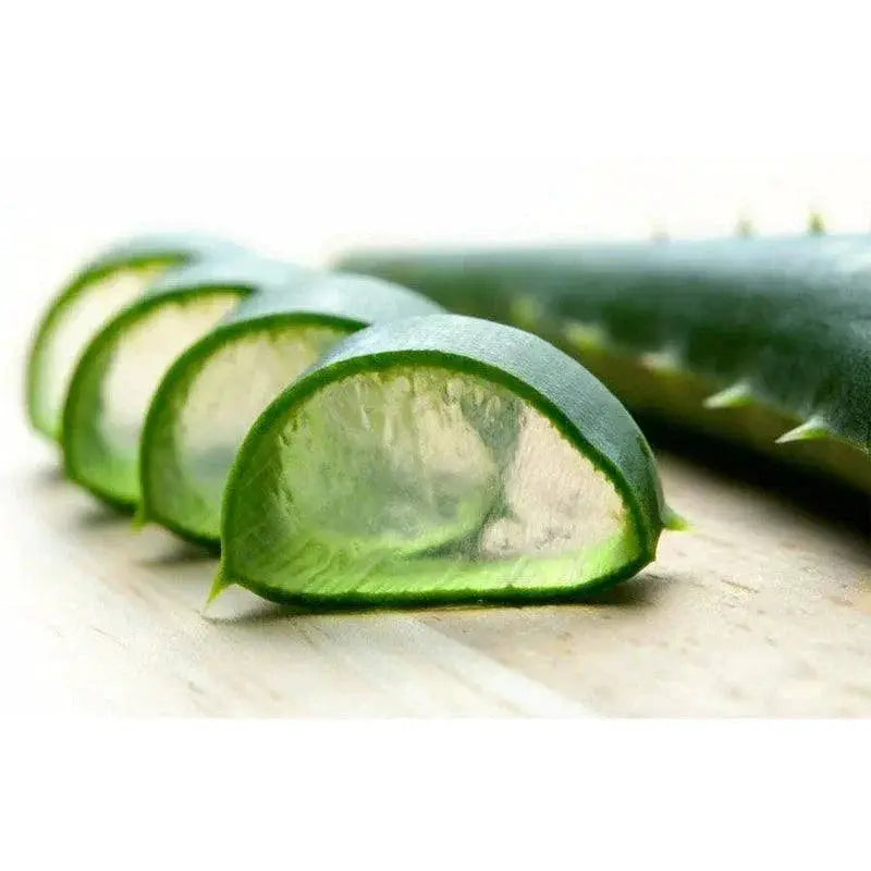Aloe Vera Gel Healing Moisturizer For All Skin Types